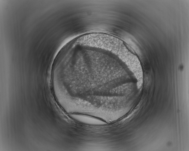 X0000098001052200804211126