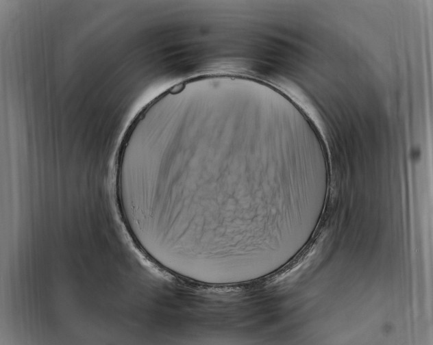 X0000098001053200804211126