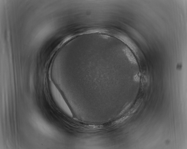 X0000098001055200804211126