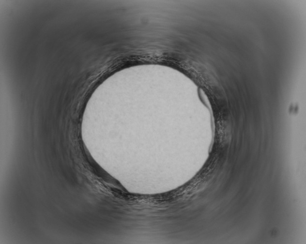 X0000098001057200804211125