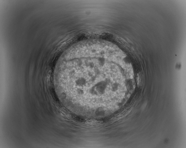 X0000098001059200804211125