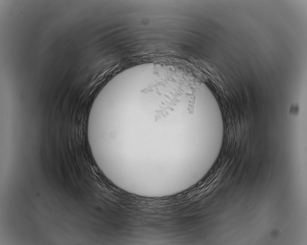 X0000098001060200804211125