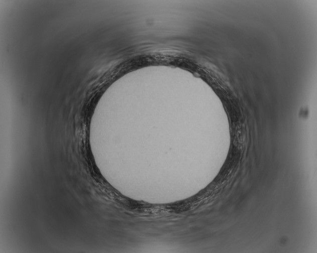 X0000098001061200804211125