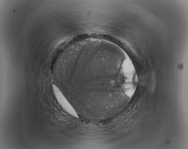 X0000098001063200804211125