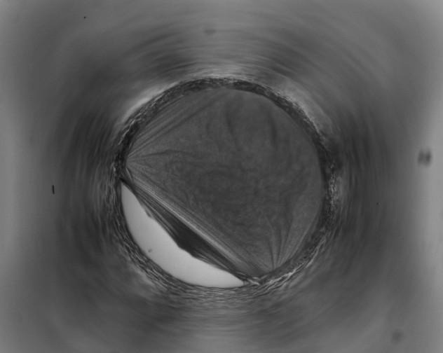 X0000098001064200804211125