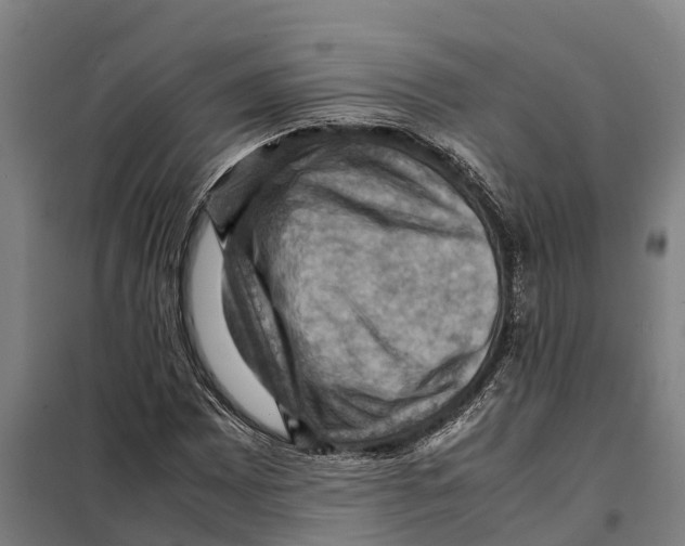 X0000098001065200804211125
