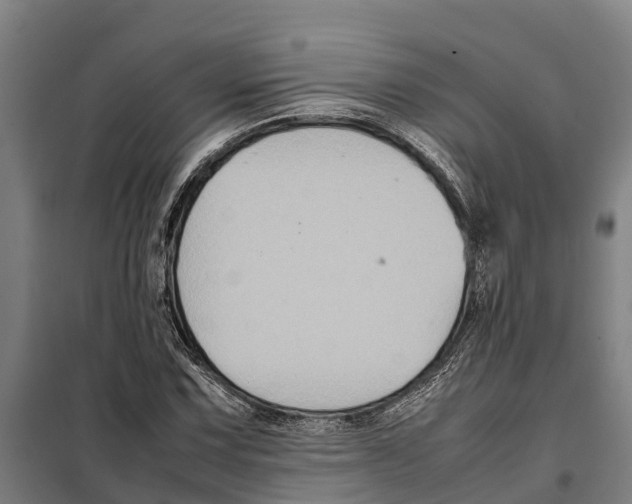 X0000098001067200804211125