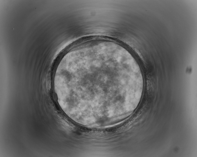 X0000098001069200804211125