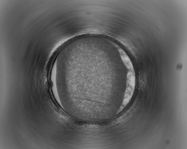 X0000098001070200804211125