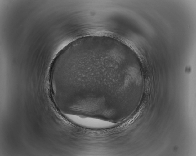 X0000098001071200804211125