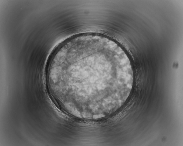 X0000098001072200804211125