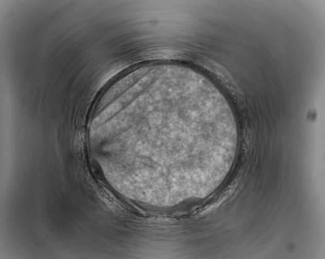 X0000098001073200804211125