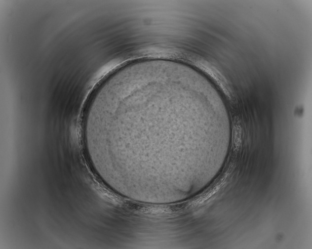 X0000098001074200804211125