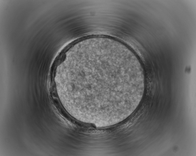 X0000098001076200804211125