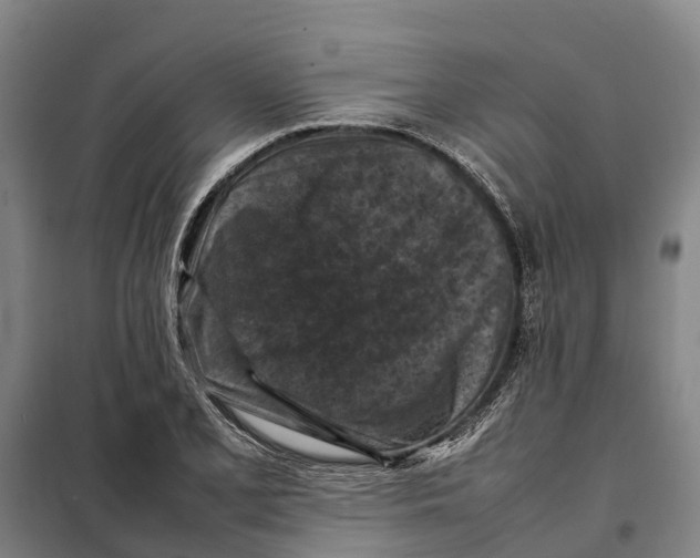 X0000098001077200804211125