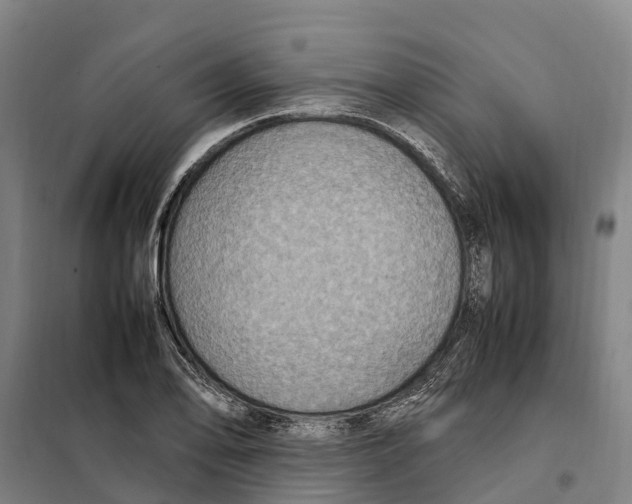 X0000098001078200804211125
