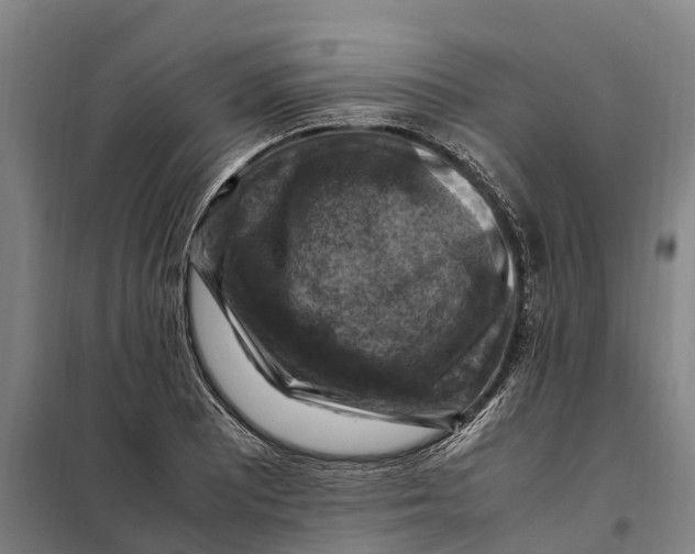X0000098001081200804211125