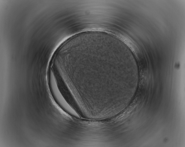X0000098001084200804211125