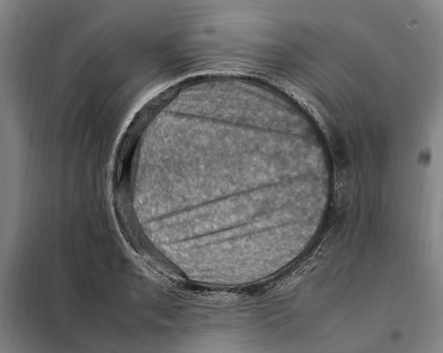 X0000098001085200804211125