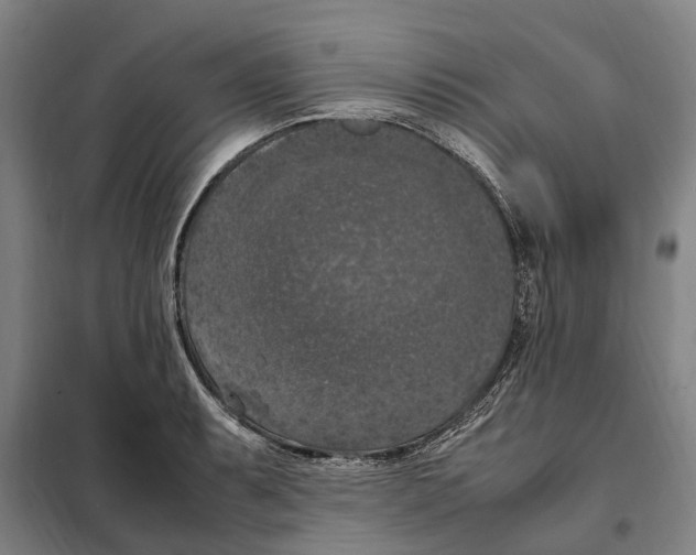 X0000098001087200804211124