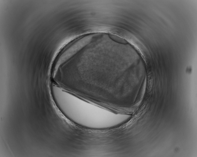 X0000098001088200804211124
