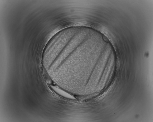 X0000098001089200804211124