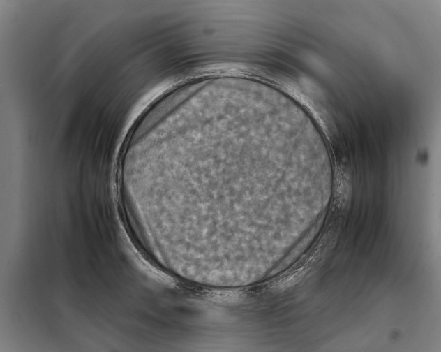 X0000098001090200804211124