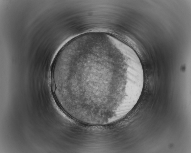 X0000098001092200804211124