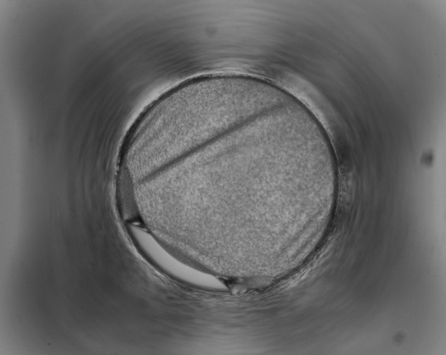 X0000098001093200804211124
