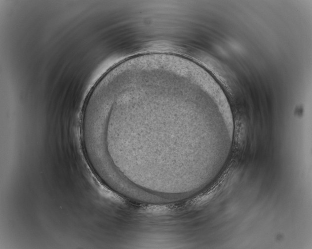 X0000098001094200804211124