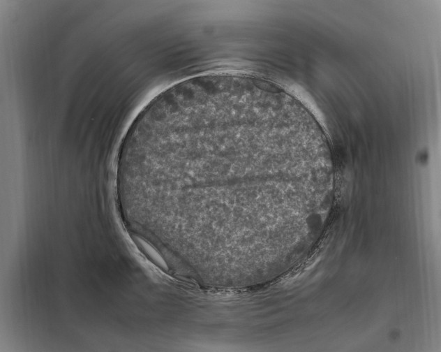 X0000098001099200804211124
