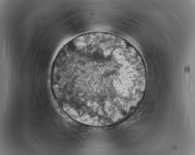 X0000098001104200804211124