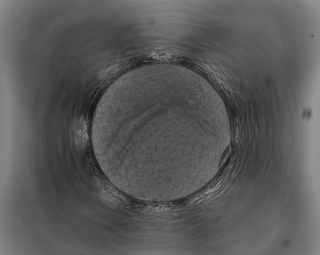 X0000098001106200804211123