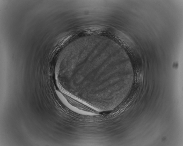 X0000098001108200804211123