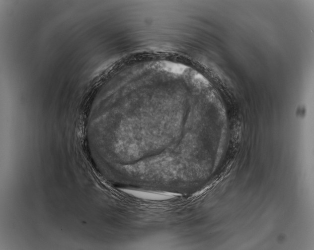 X0000098001110200804211123