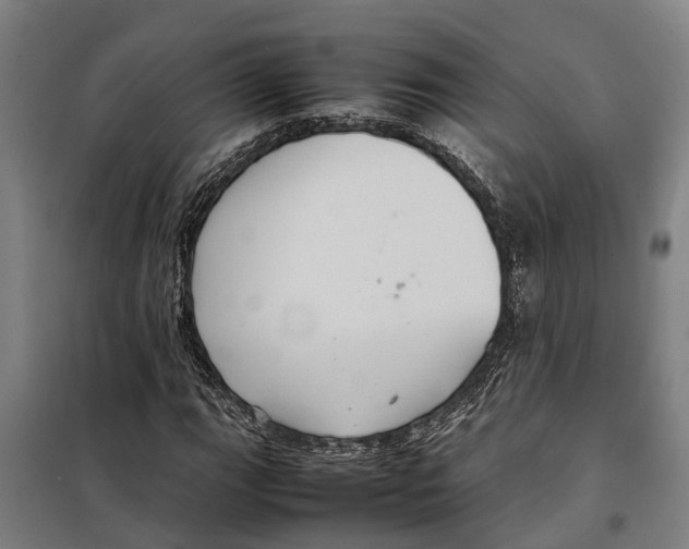 X0000098001111200804211123