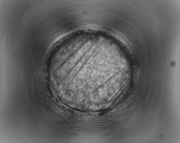X0000098001112200804211123