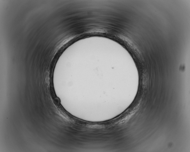 X0000098001113200804211124