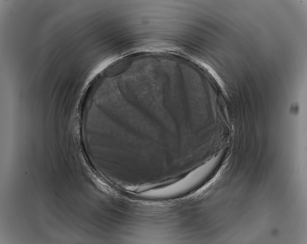 X0000098001114200804211124