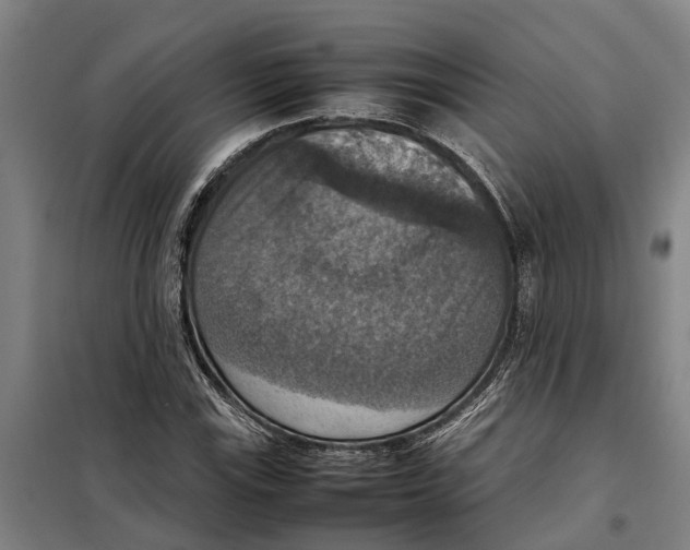 X0000098001115200804211124