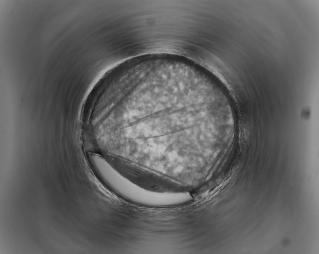 X0000098001116200804211124