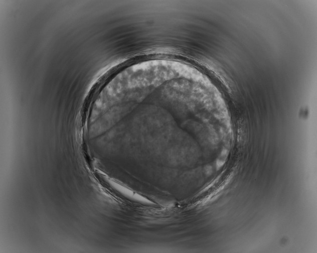 X0000098001117200804211124
