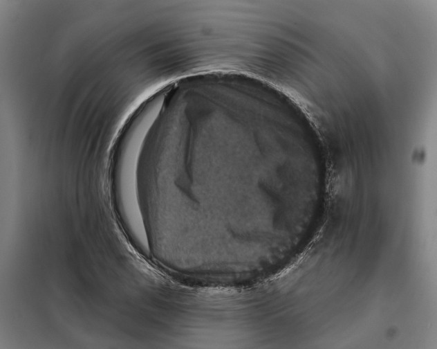 X0000098001118200804211124