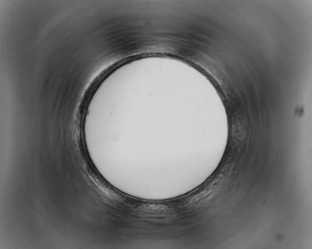 X0000098001119200804211124