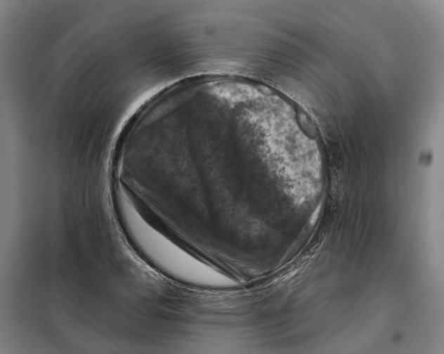 X0000098001120200804211124