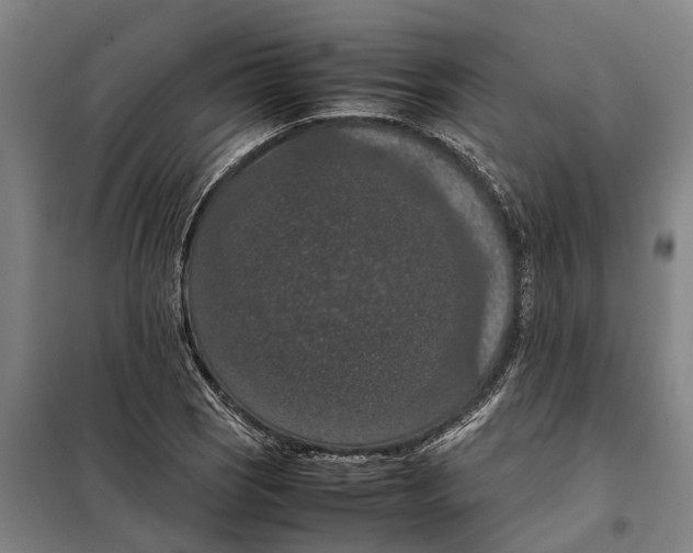 X0000098001121200804211124