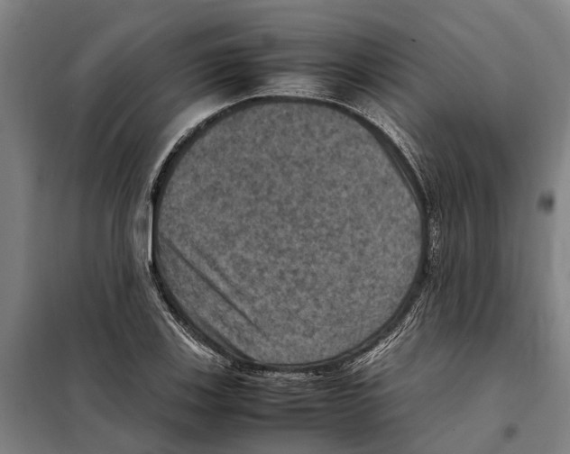 X0000098001123200804211124