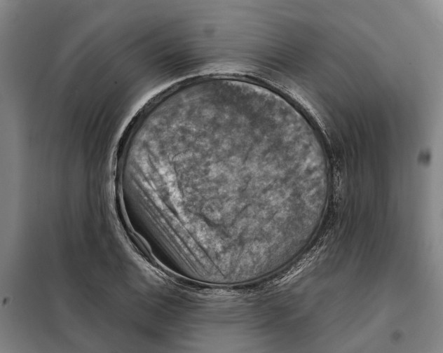 X0000098001124200804211124