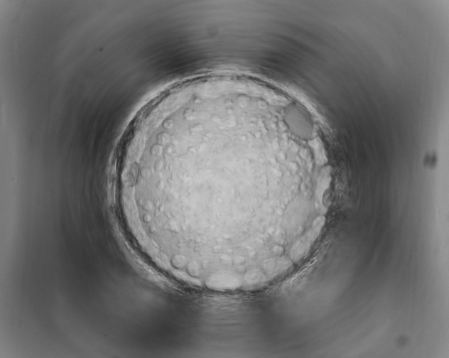 X0000098001126200804211124