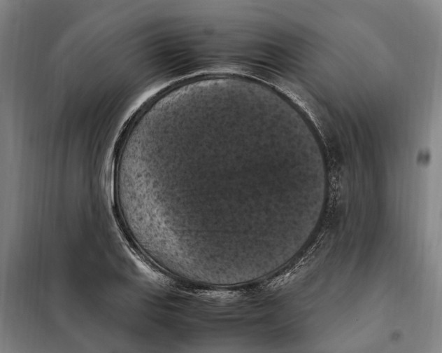 X0000098001127200804211124